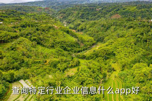 查询特定行业企业信息什么app好