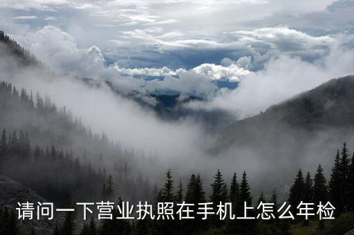 请问一下营业执照在手机上怎么年检