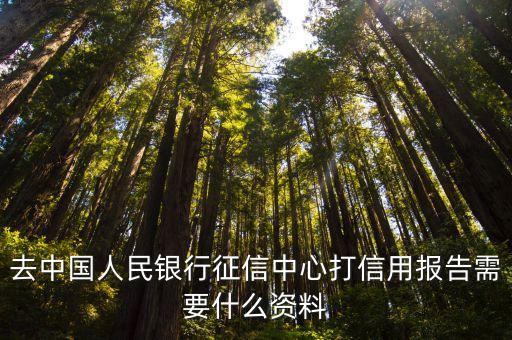 去中国人民银行征信中心打信用报告需要什么资料