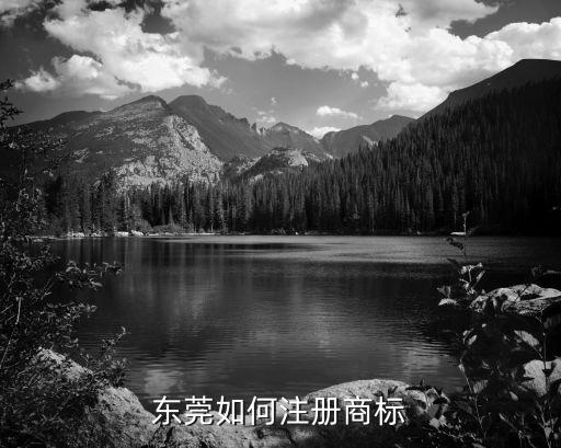 东莞如何注册商标