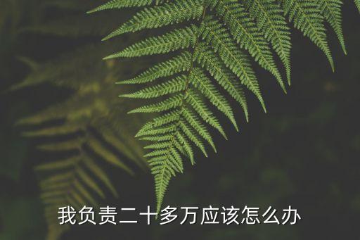 我负责二十多万应该怎么办