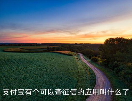 微信小程序查征信叫什么，手机查个人征信那个软件叫什么