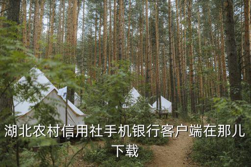 湖北农村信用社手机银行客户端在那儿下载