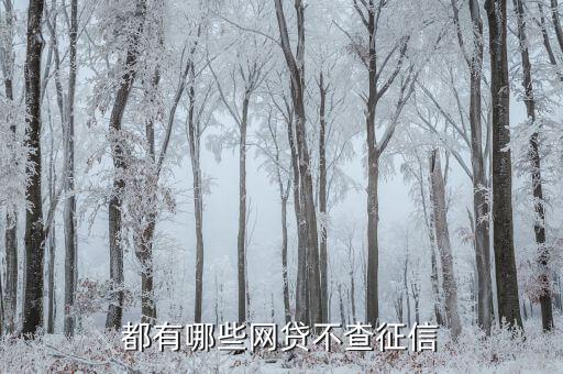都有哪些网贷不查征信
