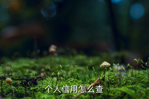 个人信用怎么查
