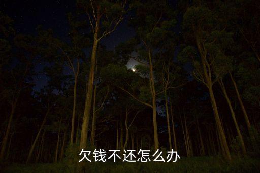 欠钱不还 咋办，欠钱不还咋办