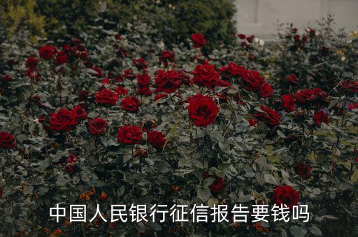 中国人民银行征信报告要钱吗