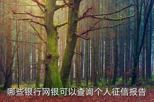 哪些银行网银可以查询个人征信报告