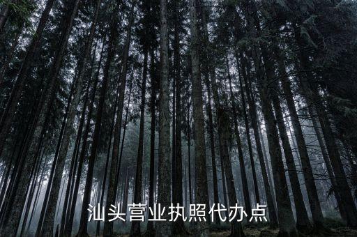 汕头营业执照代办点