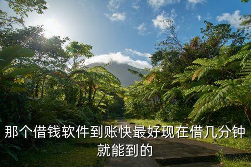 那个借钱软件到账快最好现在借几分钟就能到的