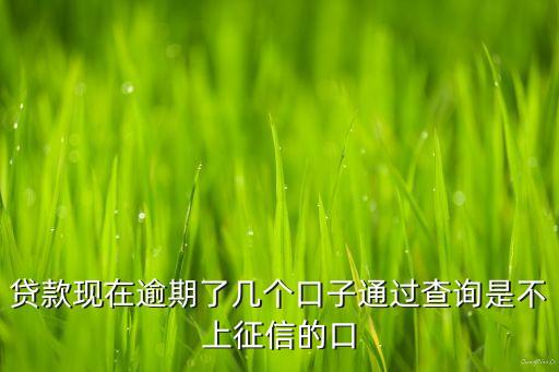 不上征信的网贷怎么查询所有欠款，如何查网贷上不上征信
