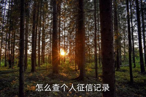 怎么查个人征信记录