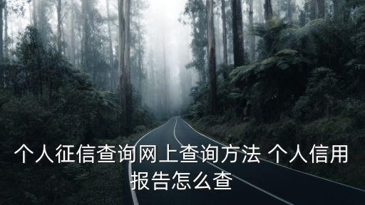 咨询征信，个人征信查询网上查询方法 个人信用报告怎么查