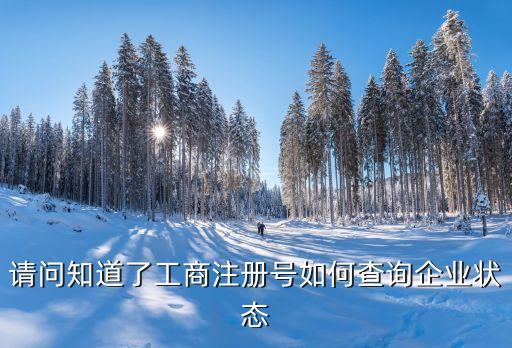 请问知道了工商注册号如何查询企业状态