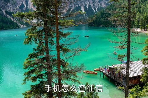 手机怎么查征信