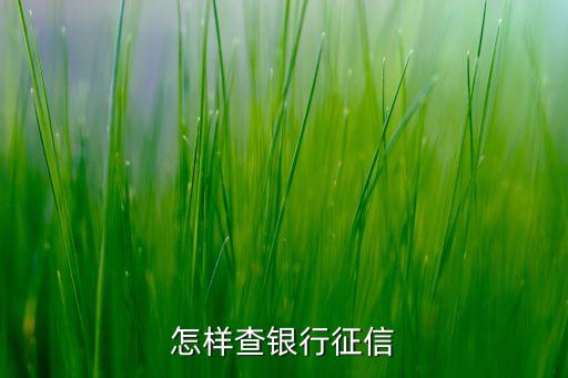 银行的征信怎么查，个人银行征信记录怎么看