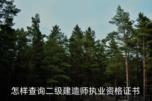 怎样查询二级建造师执业资格证书