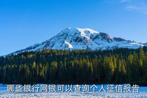 哪些银行网银可以查询个人征信报告