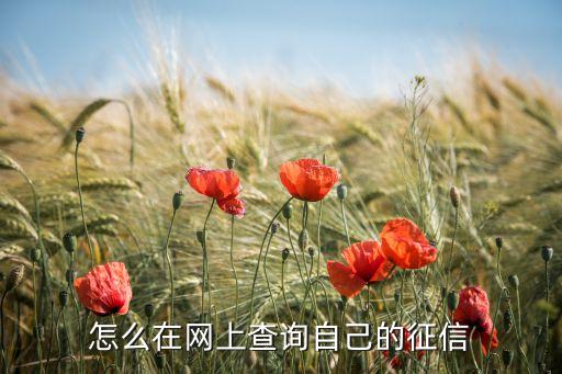 怎么在网上查询自己的征信