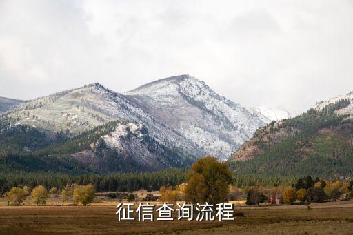 征信查询流程