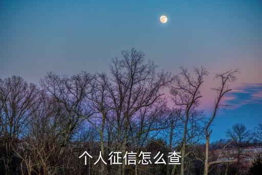 怎样查个人征信息，个人征信怎么查
