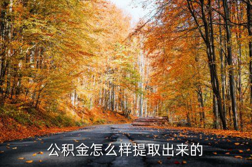 公积金怎么样提取出来的