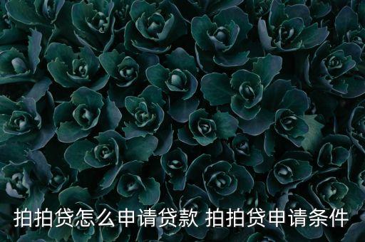 拍拍贷怎么申请贷款 拍拍贷申请条件
