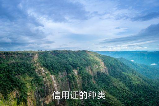 信用证的种类