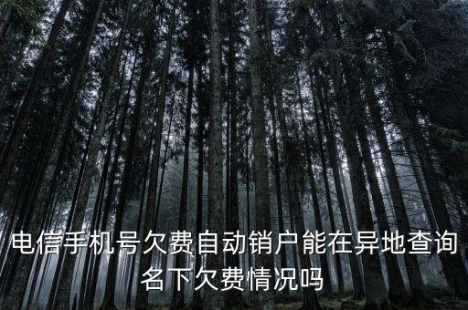 电信手机号欠费自动销户能在异地查询名下欠费情况吗