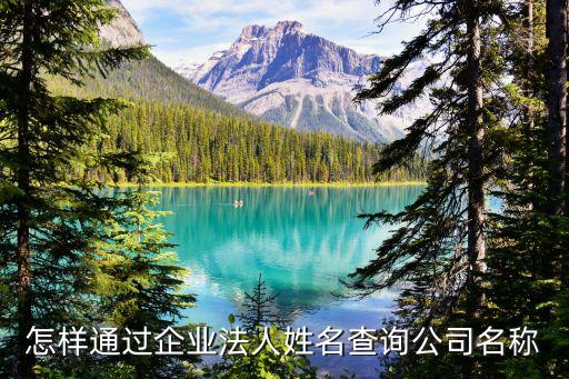 怎样通过企业法人姓名查询公司名称