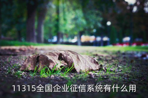 企业征信管理系统，在企业征信系统中能查到什么信息