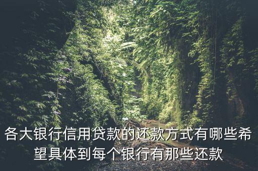 各大银行信用贷款的还款方式有哪些希望具体到每个银行有那些还款