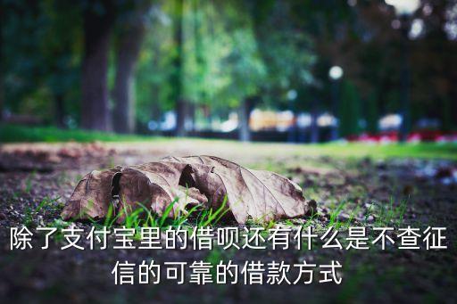 除了支付宝里的借呗还有什么是不查征信的可靠的借款方式