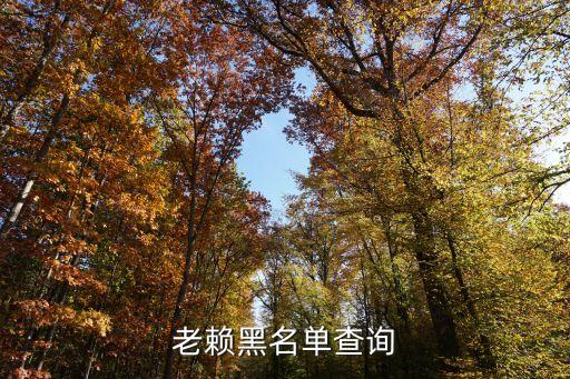 老赖黑名单查询