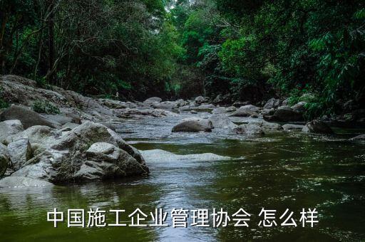 中国施工企业管理协会，中国施工企业管理协会 怎么样