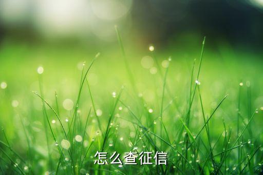 怎么查征信