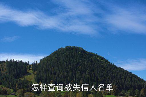 怎样查询被失信人名单