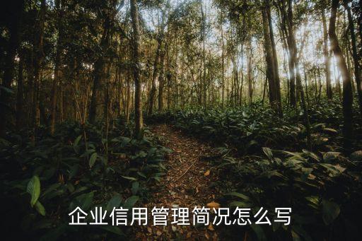 企业信用管理简况怎么写
