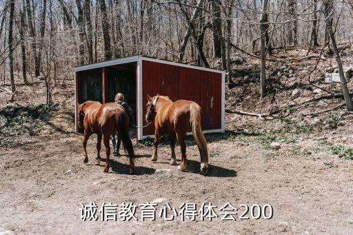 诚信教育心得体会200
