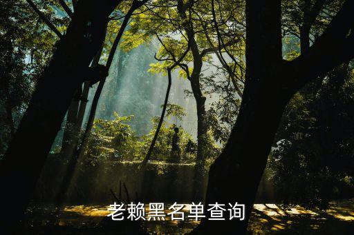 中国老赖网查询中心，怎样查询被失信人名单