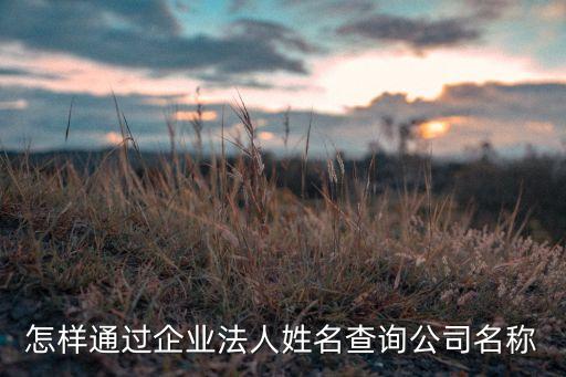 怎样通过企业法人姓名查询公司名称