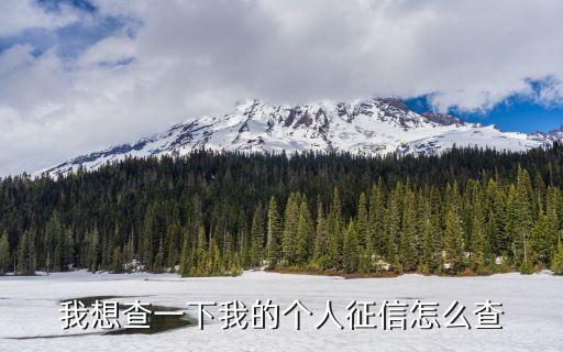 我想查一下我的个人征信怎么查