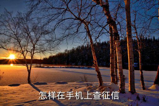 怎样在手机上查征信