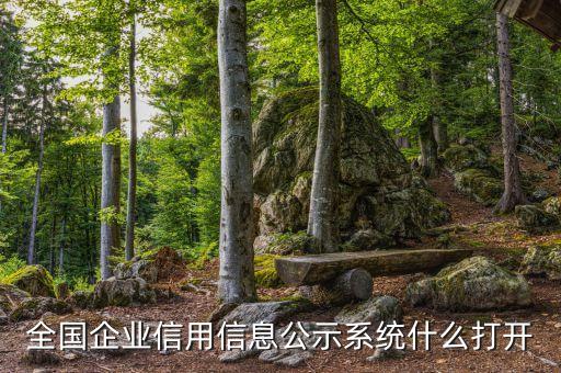 全国企业信用信息公示系统什么打开