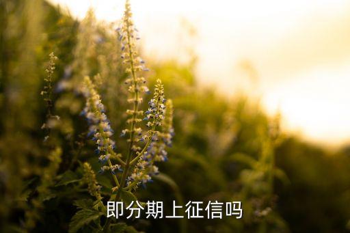 盛银消费金融上征信吗，我在盛银消费金融平台贷了十八万请问这个平台靠谱吗
