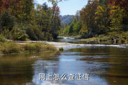 网上怎么查征信