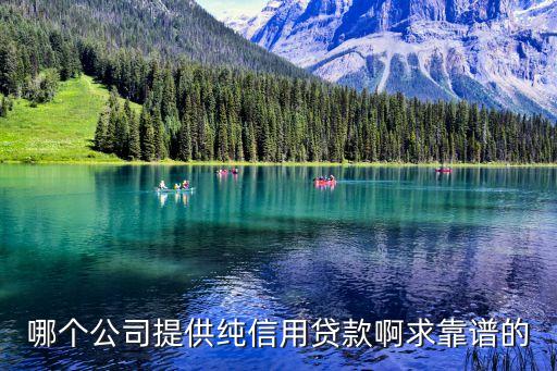 哪个公司提供纯信用贷款啊求靠谱的