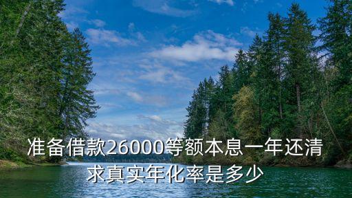 准备借款26000等额本息一年还清求真实年化率是多少