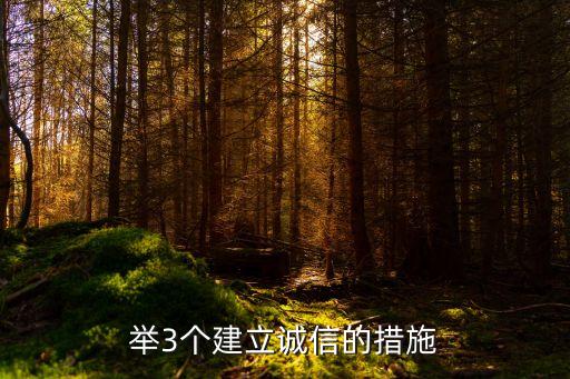 举3个建立诚信的措施