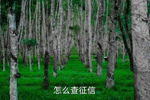 个人征信系统如何查询，征信怎么查询